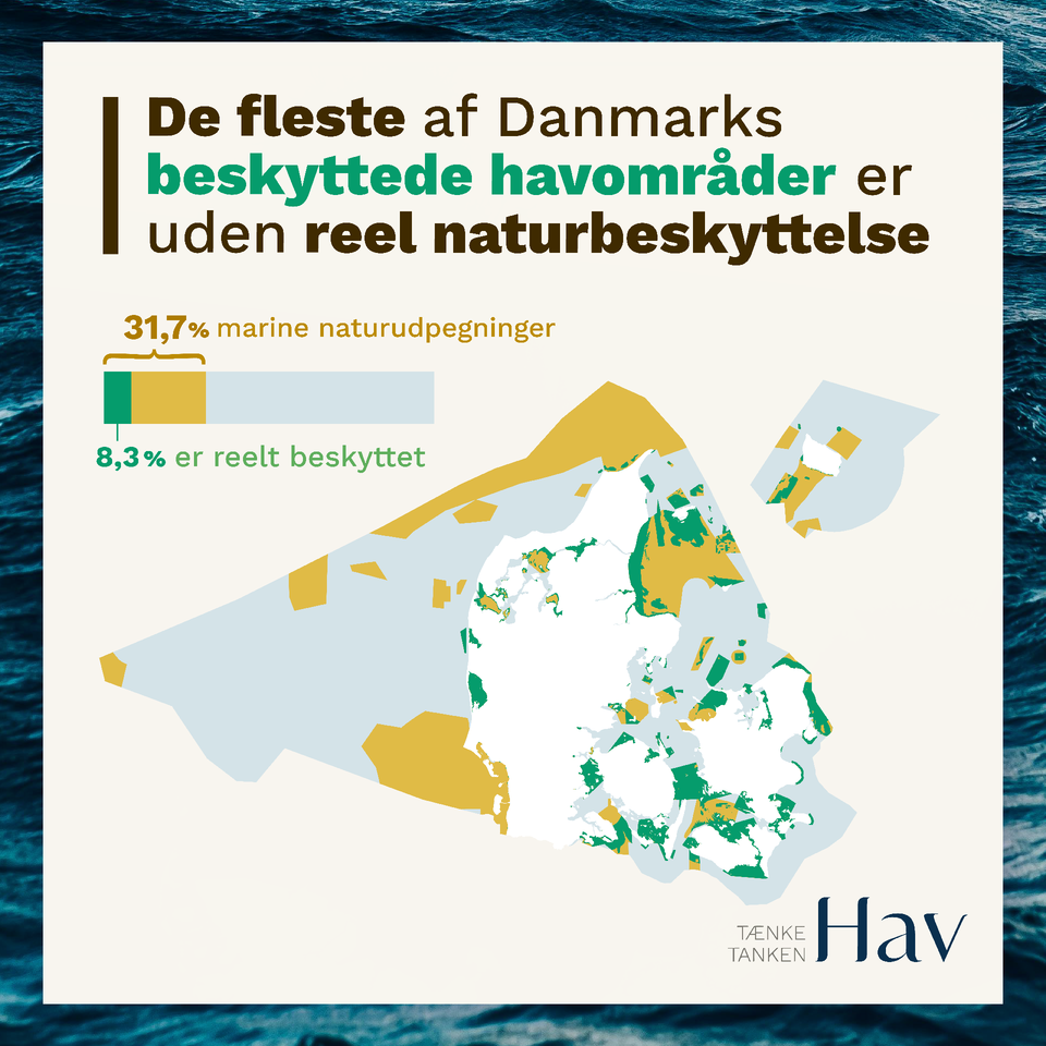 2b781fb1 3b8e 4c36 8d14 cecf01334539 w 960