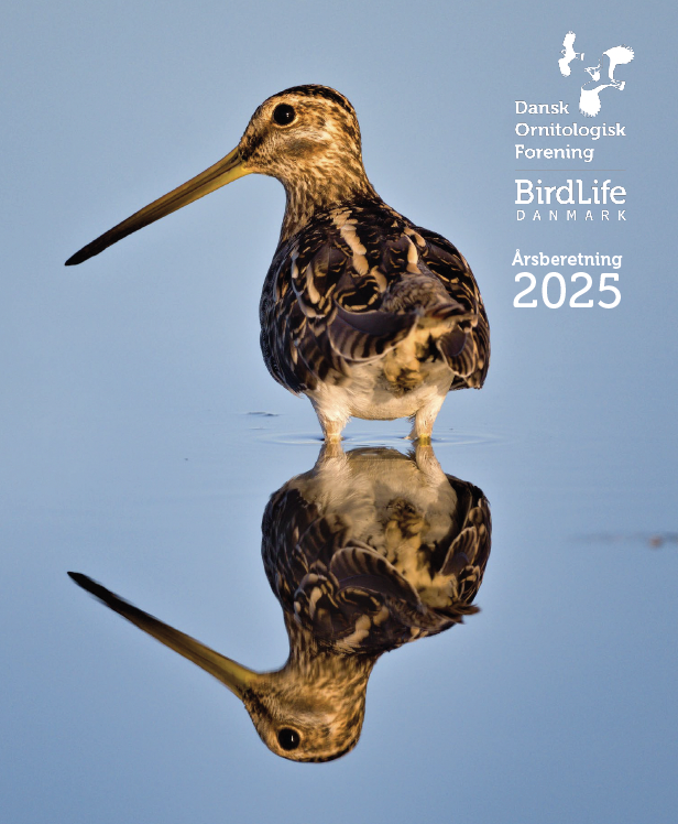 Skærmbillede 2026 04 08 kl. 13.25.24