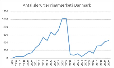 Slorugler ringmaerket i Danmark de seneste 25 ar