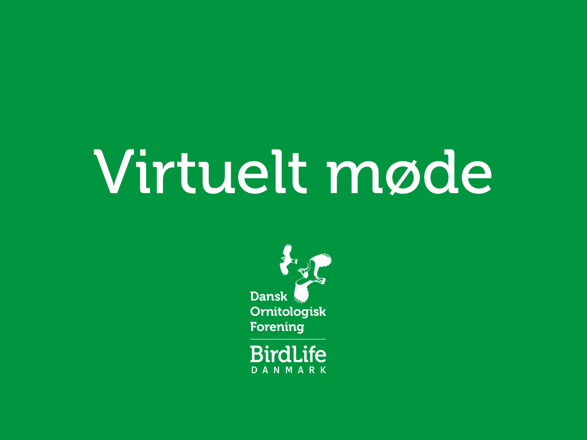 Virtuelt mode1