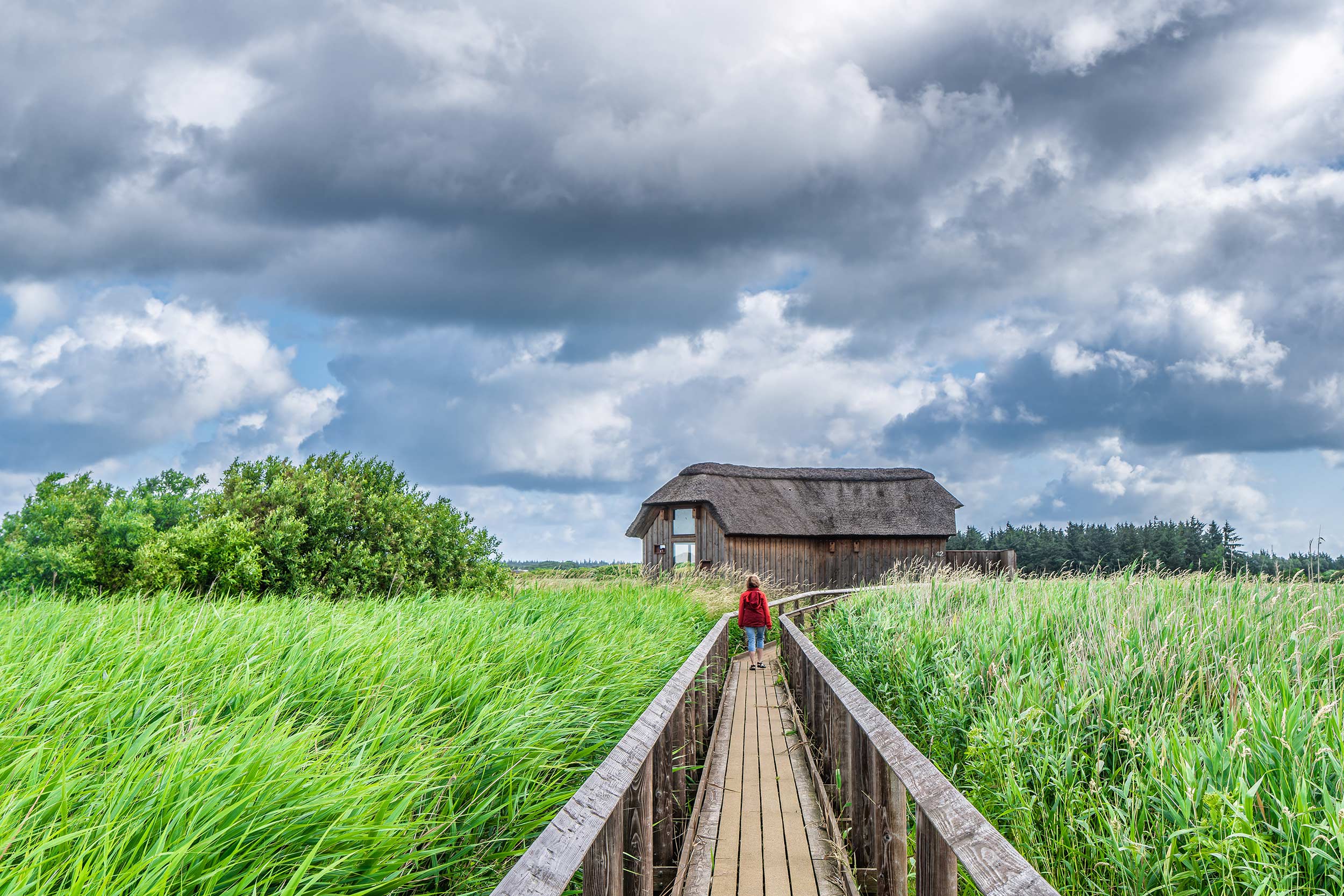 Fugletur med DOF BirdLife