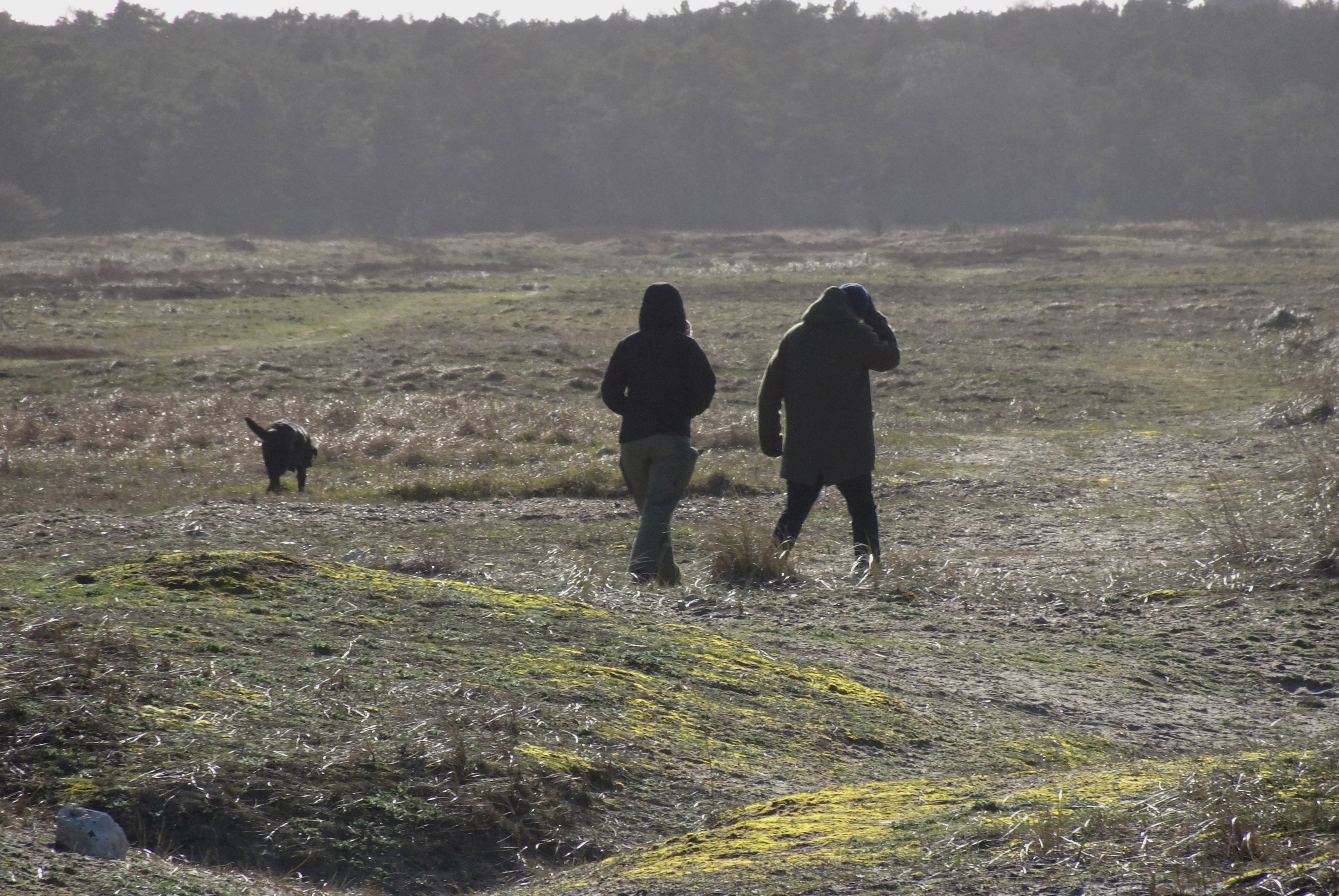  Los hund Melby Overdrev foto Christian Glahder