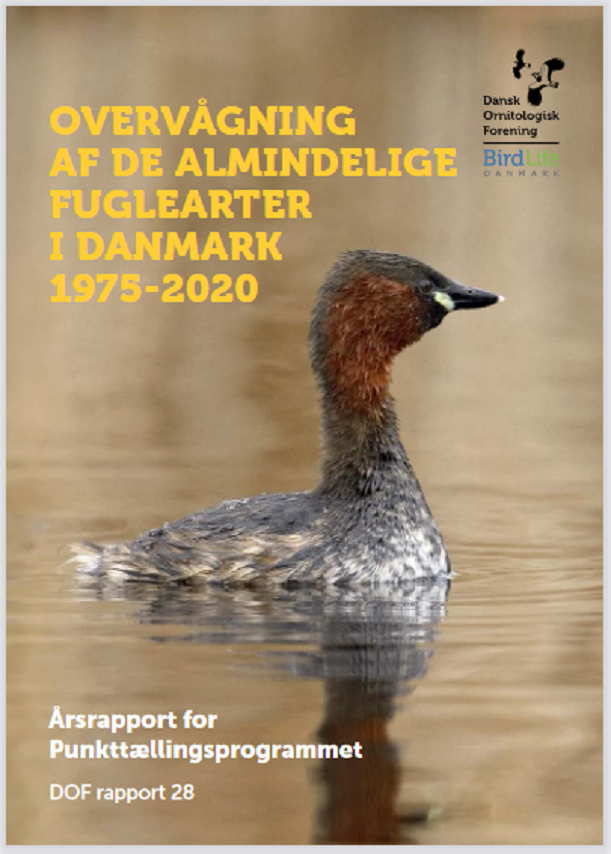 Punkttaelling arsrapport 2019 vol.27