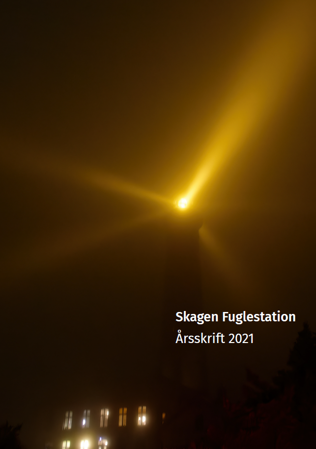 Arsrapport forside Skagen