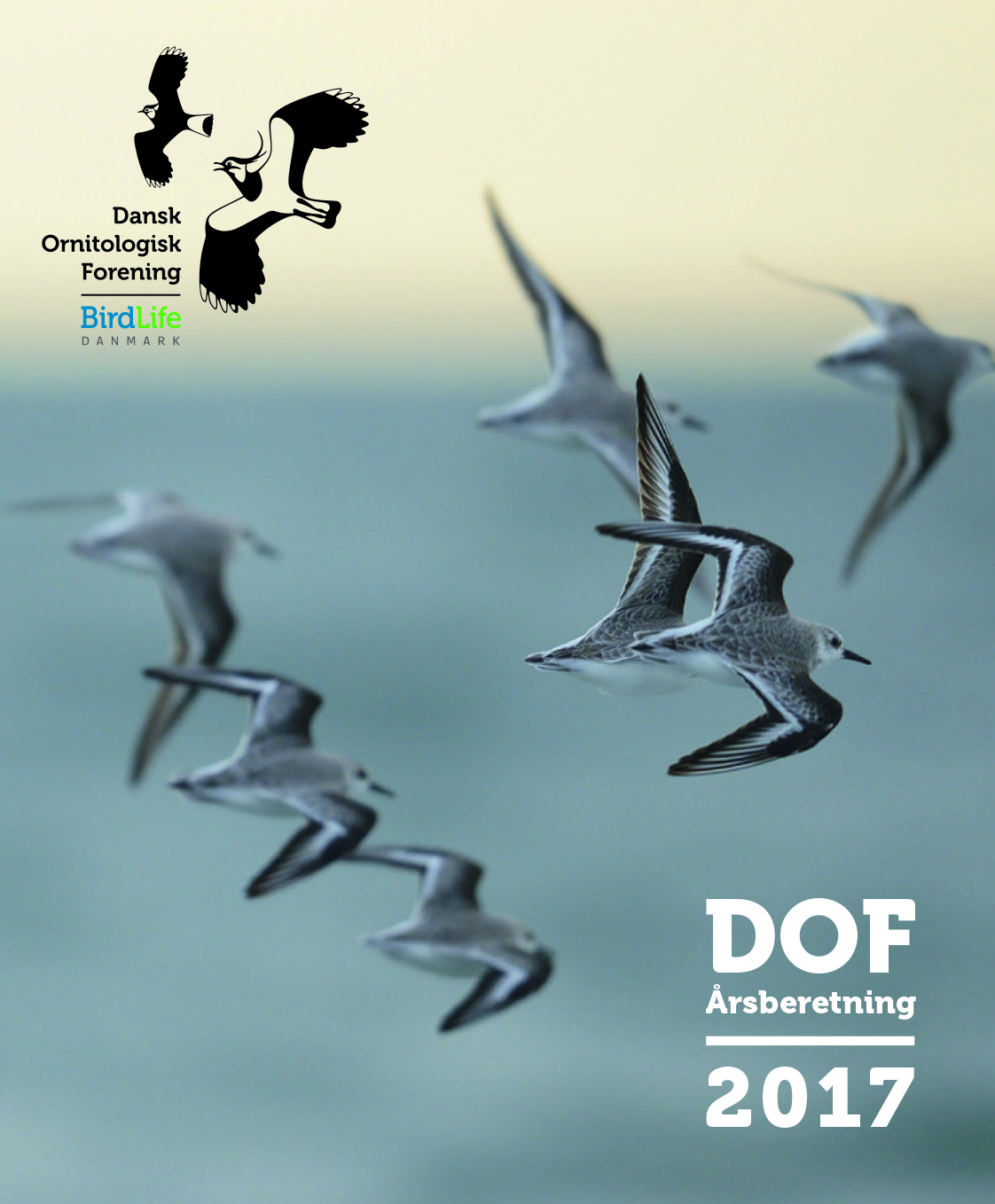 DOF aarsberetning 2017 forside