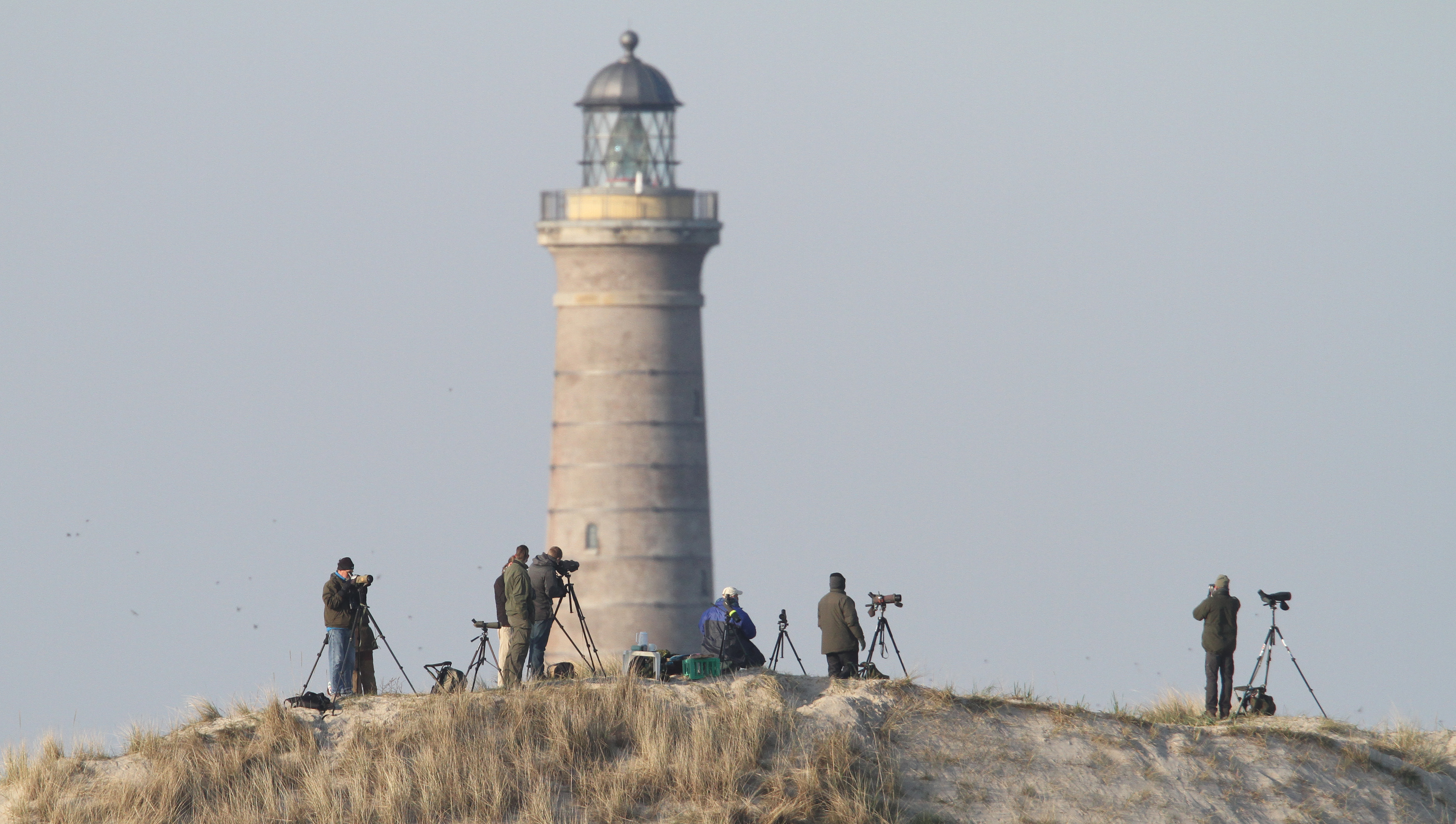 Birdere Skagen Gren 21.April Hans Henrik Larsen