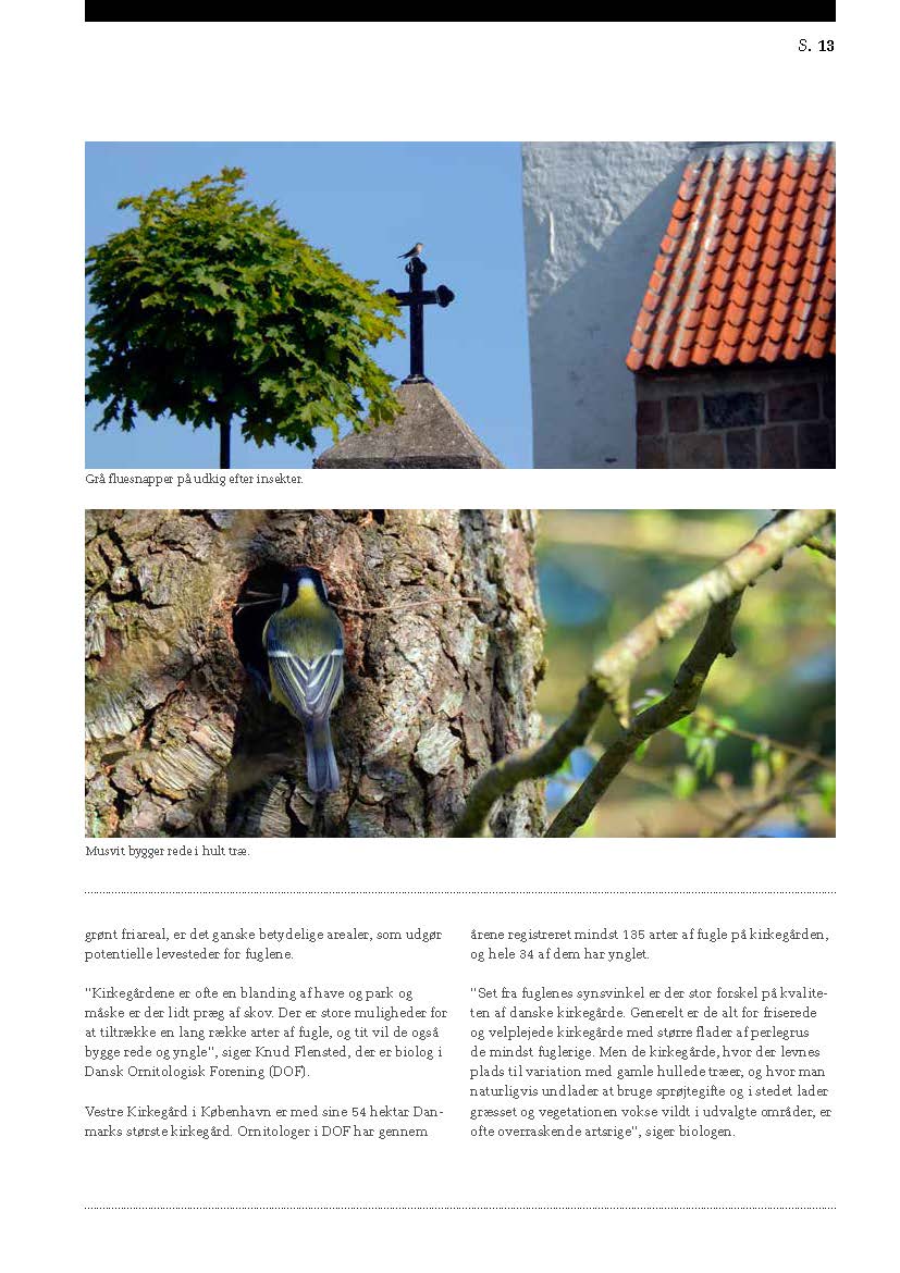 Fa mere fugleliv og vild natur pa kirkegardene Jan Skriver Side 2