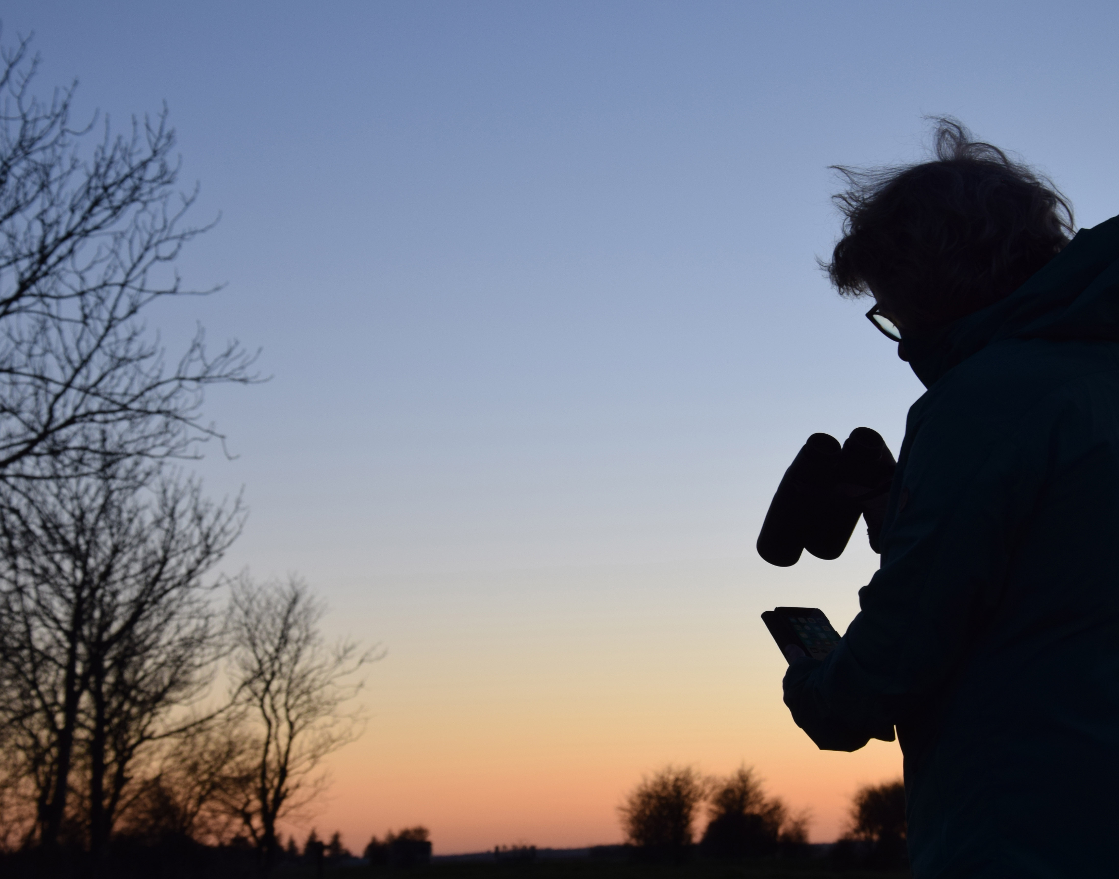 Fugletaeller efter solnedgang foto DOF