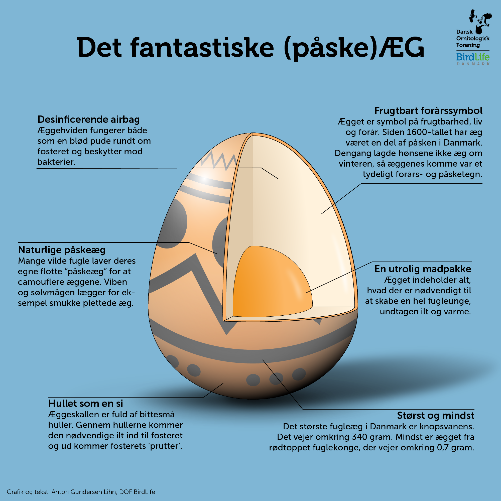 AEg grafik Tegnebraet 1