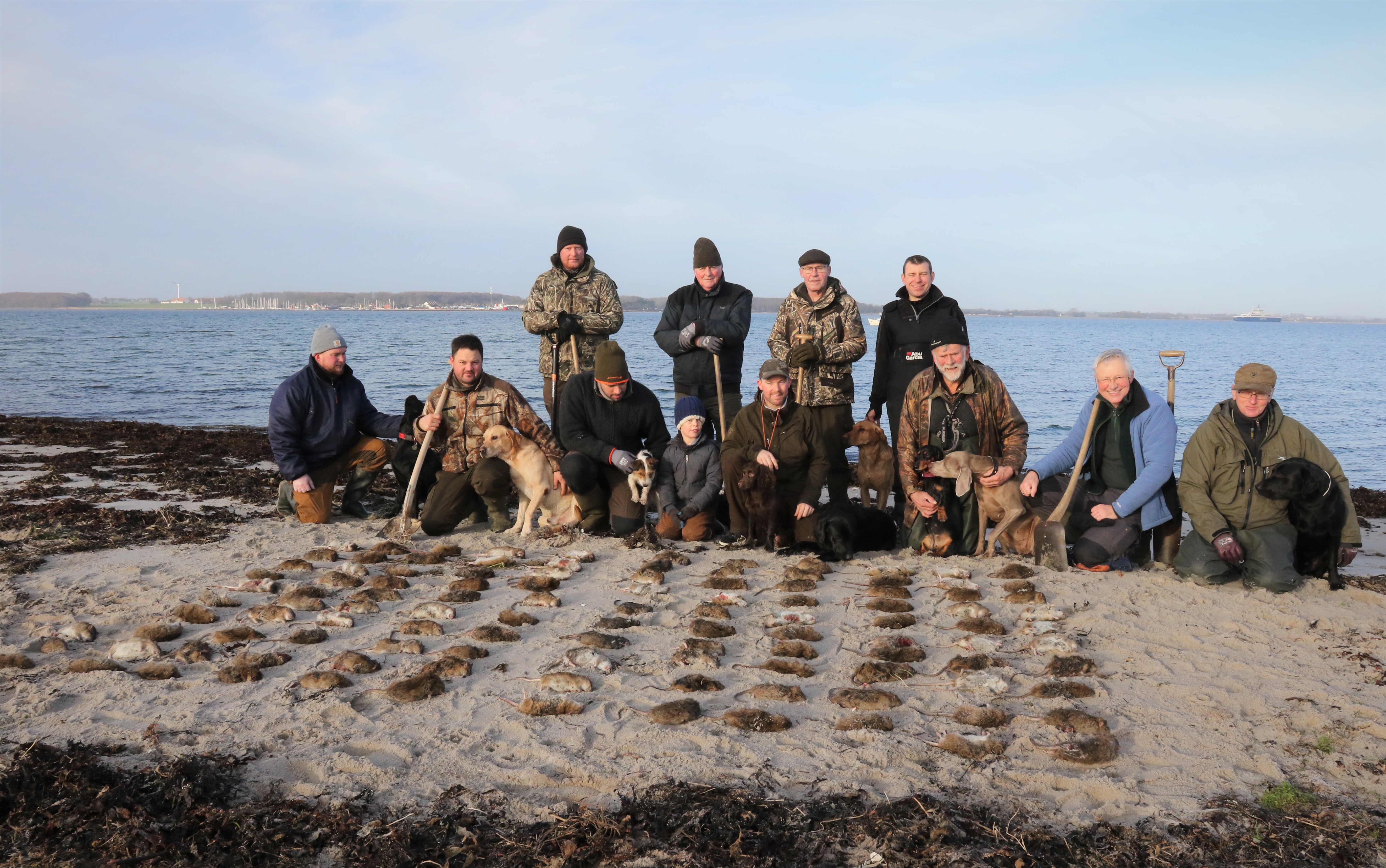 1 Resultatet af en af vinterens ti rottejagter pa Hou Ron 113 rotter nedlagt foto Troels Romby Larsen