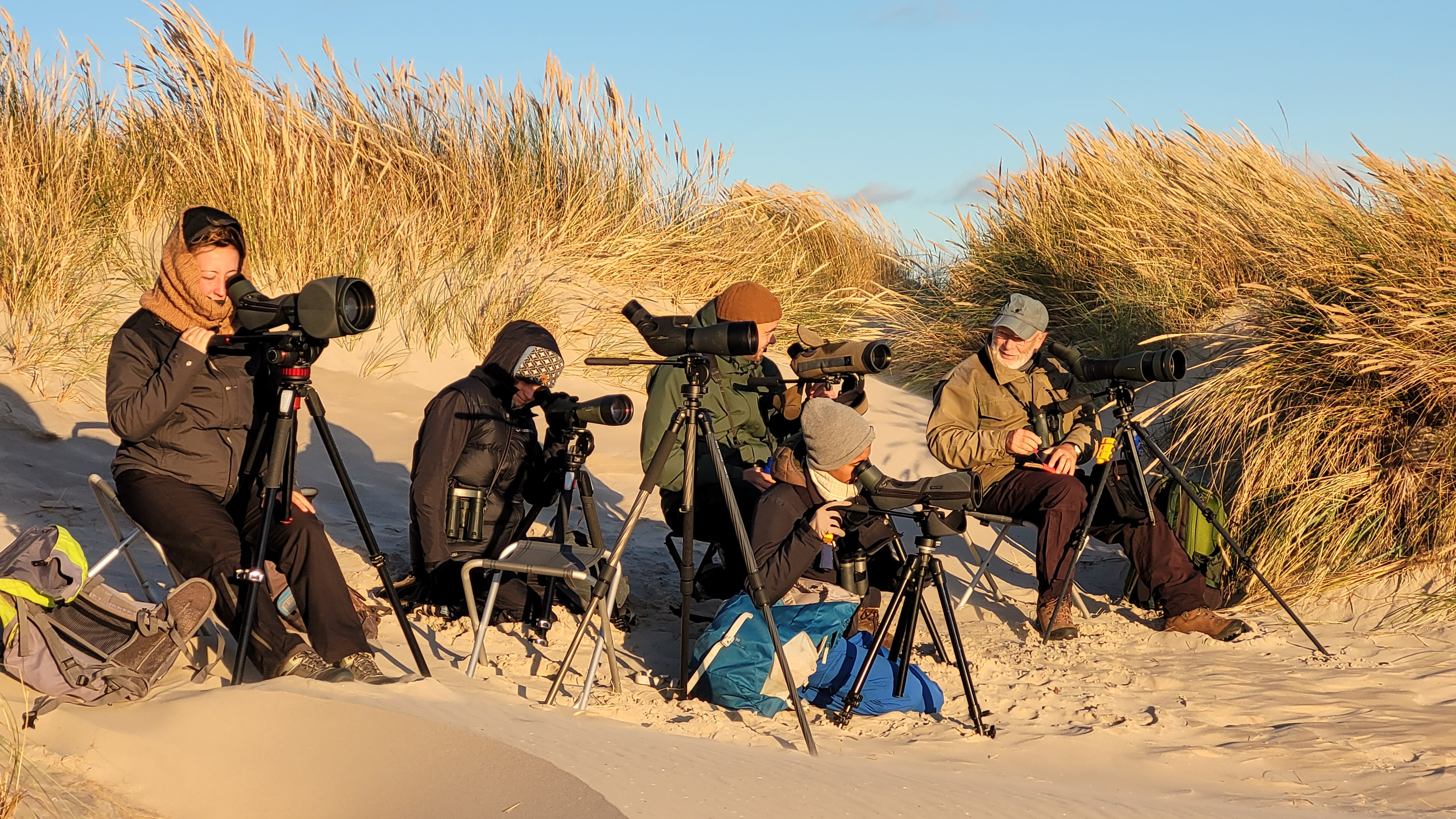 birdwatchers