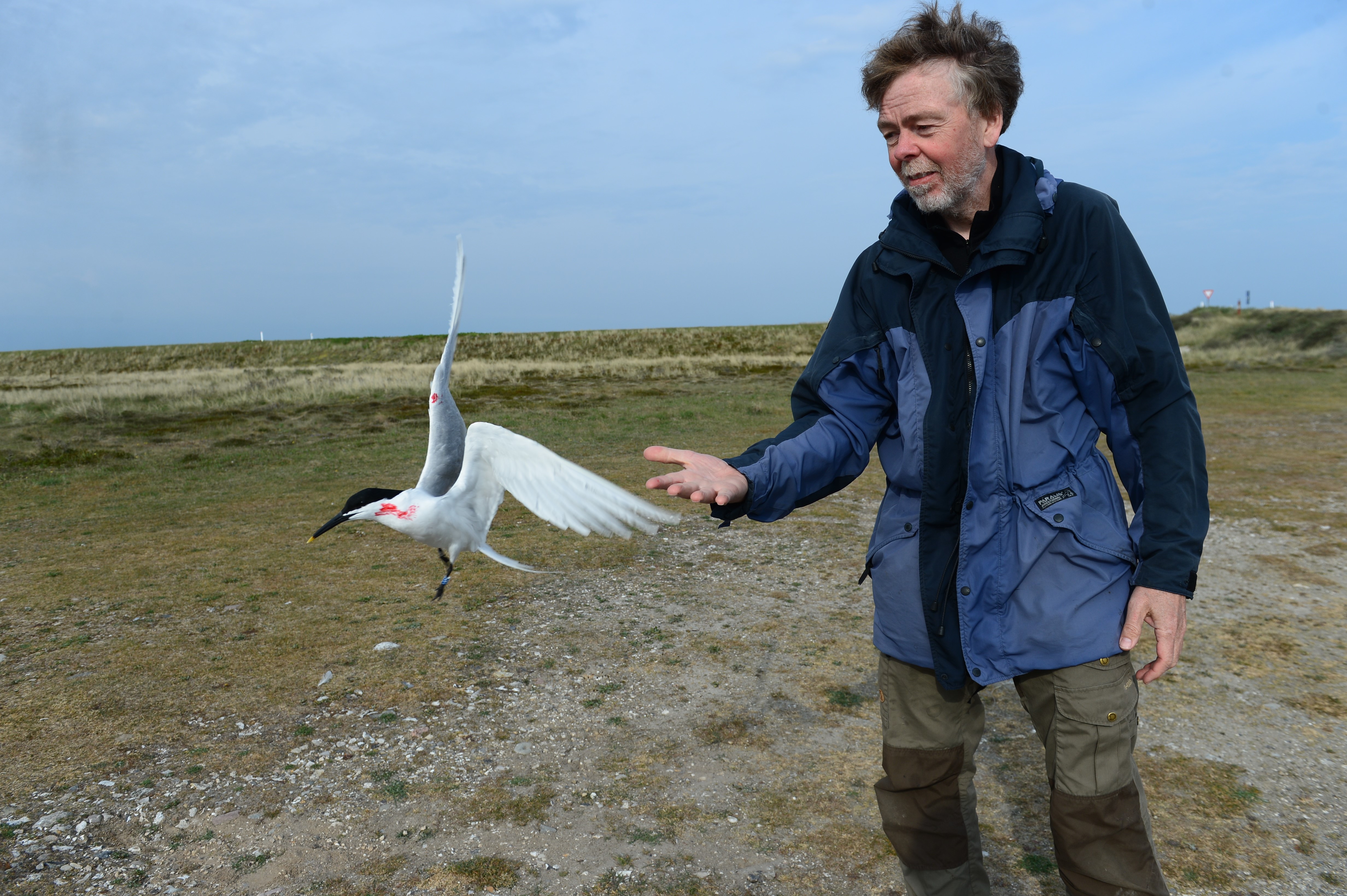 Morten Frederiksen slipper splitterne med GPS sender foto Jan Skriver