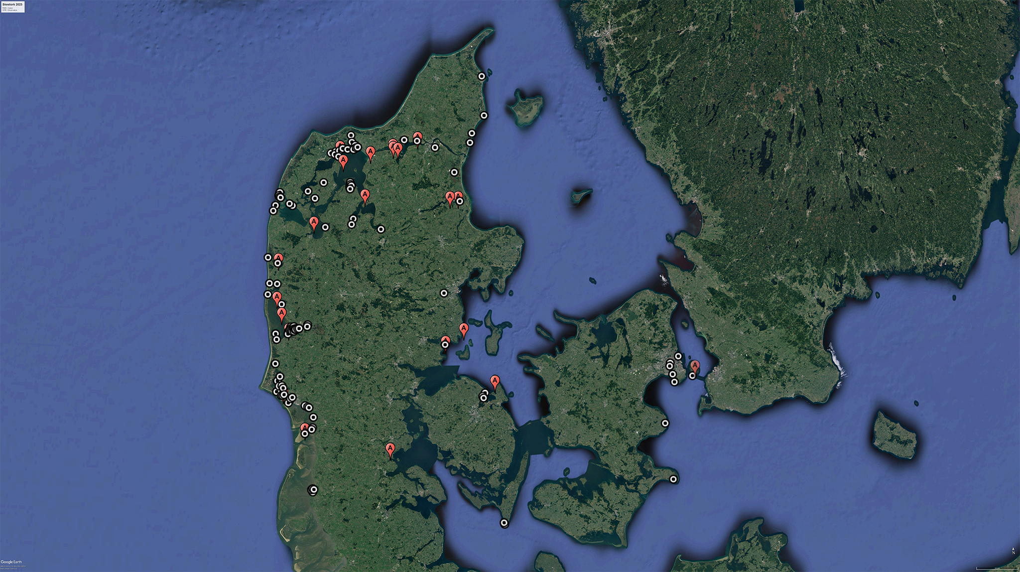 Skestork kolonier og observationer maj juli 2023 de rode markeringer er lokaliteter hvor der er eller har vaeret kolonier de hvide markeringer er observationer af mindst fem skestorke med peberholm