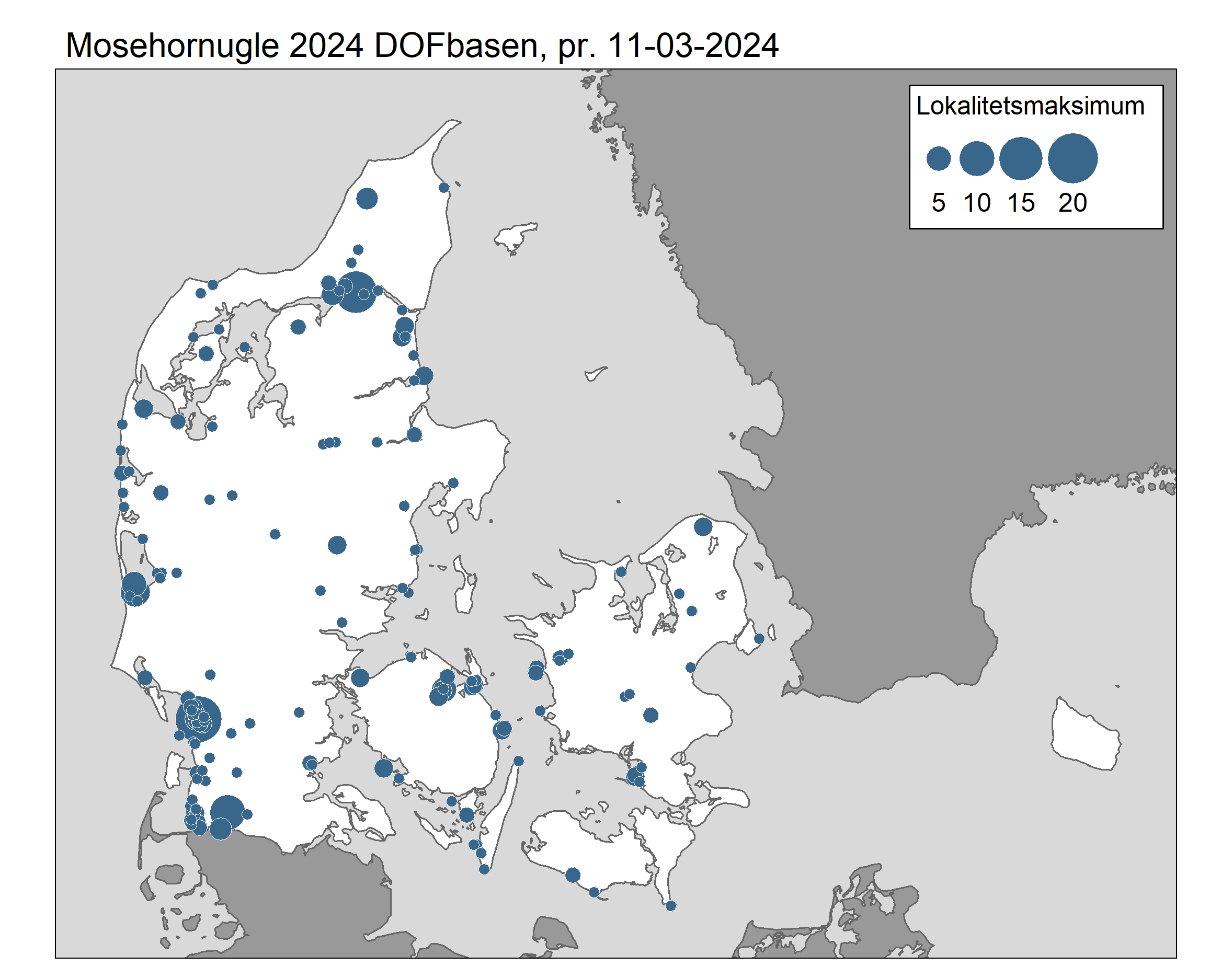 Observationer af mosehornugler fra 1.1.2024 til 11.3.2024 DOFbasen