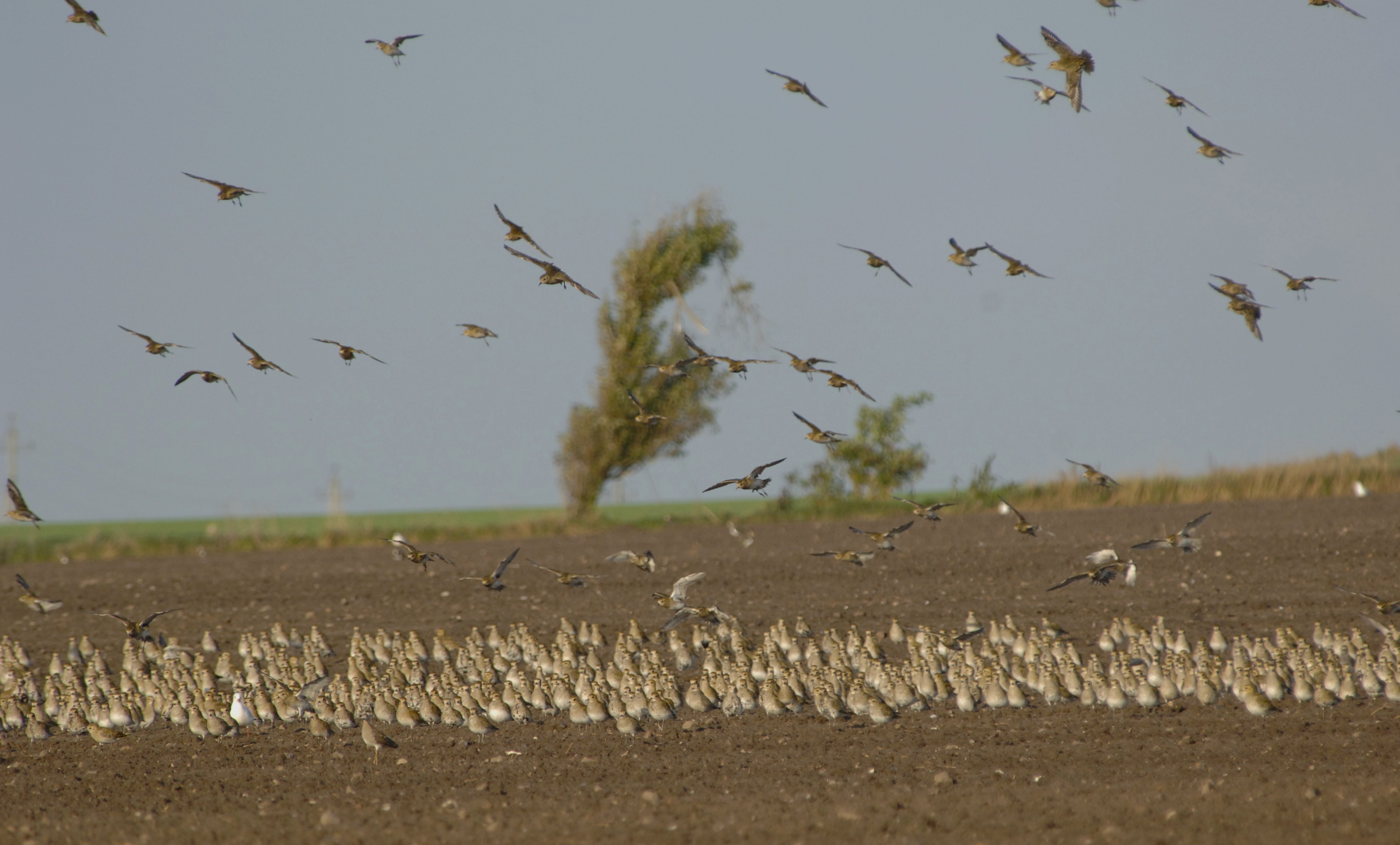  2 Hjejler dumper ud af himlen foto Jan Skriver