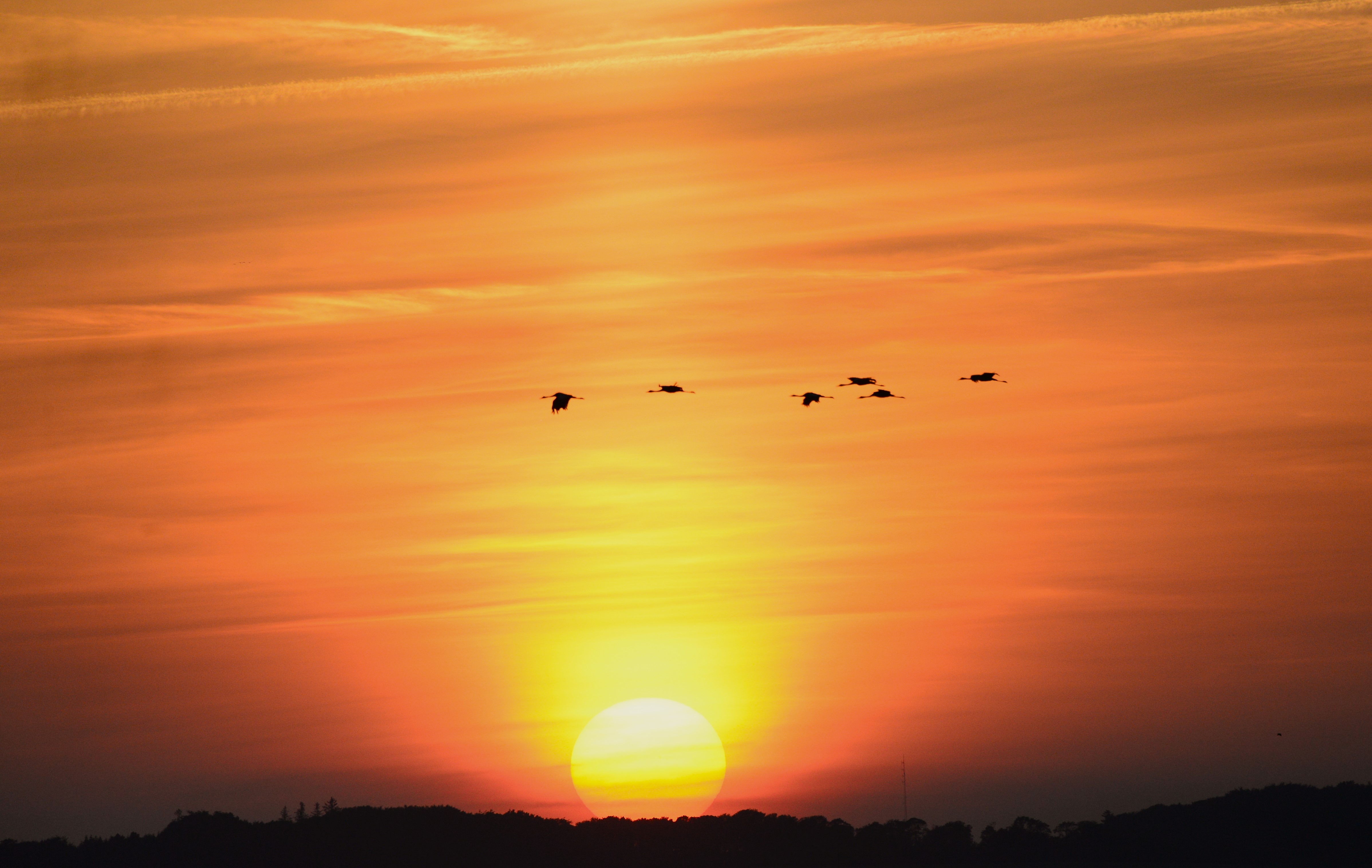  Traner over solnedgang pa vej mod overnatning foto Jan Skriver