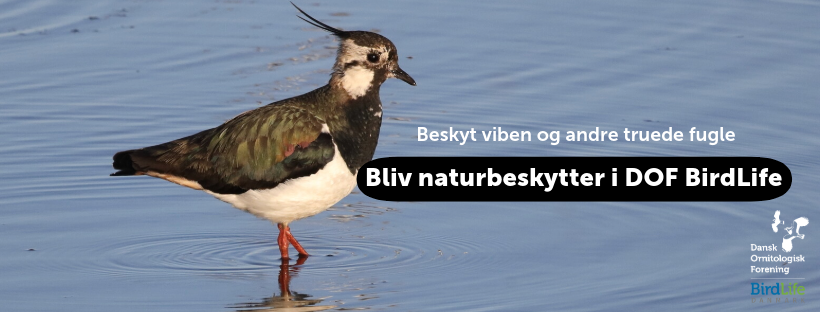 Naturbeskytter banner 1