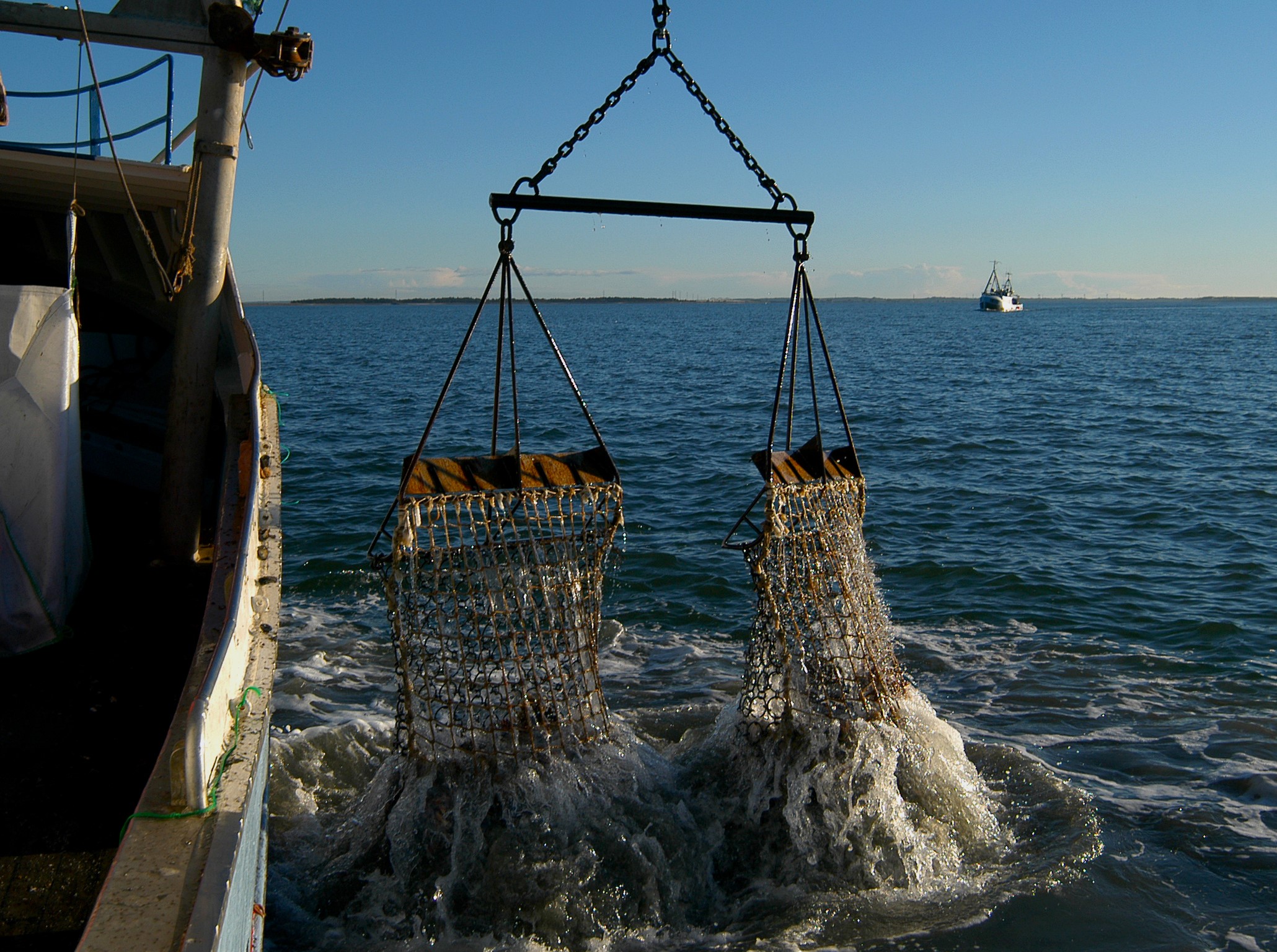  Fiskeri med bundslaebende redskaber her en ostersskraber plojer havbunden og odelaegger biodiversiteten foto Jan Skriver
