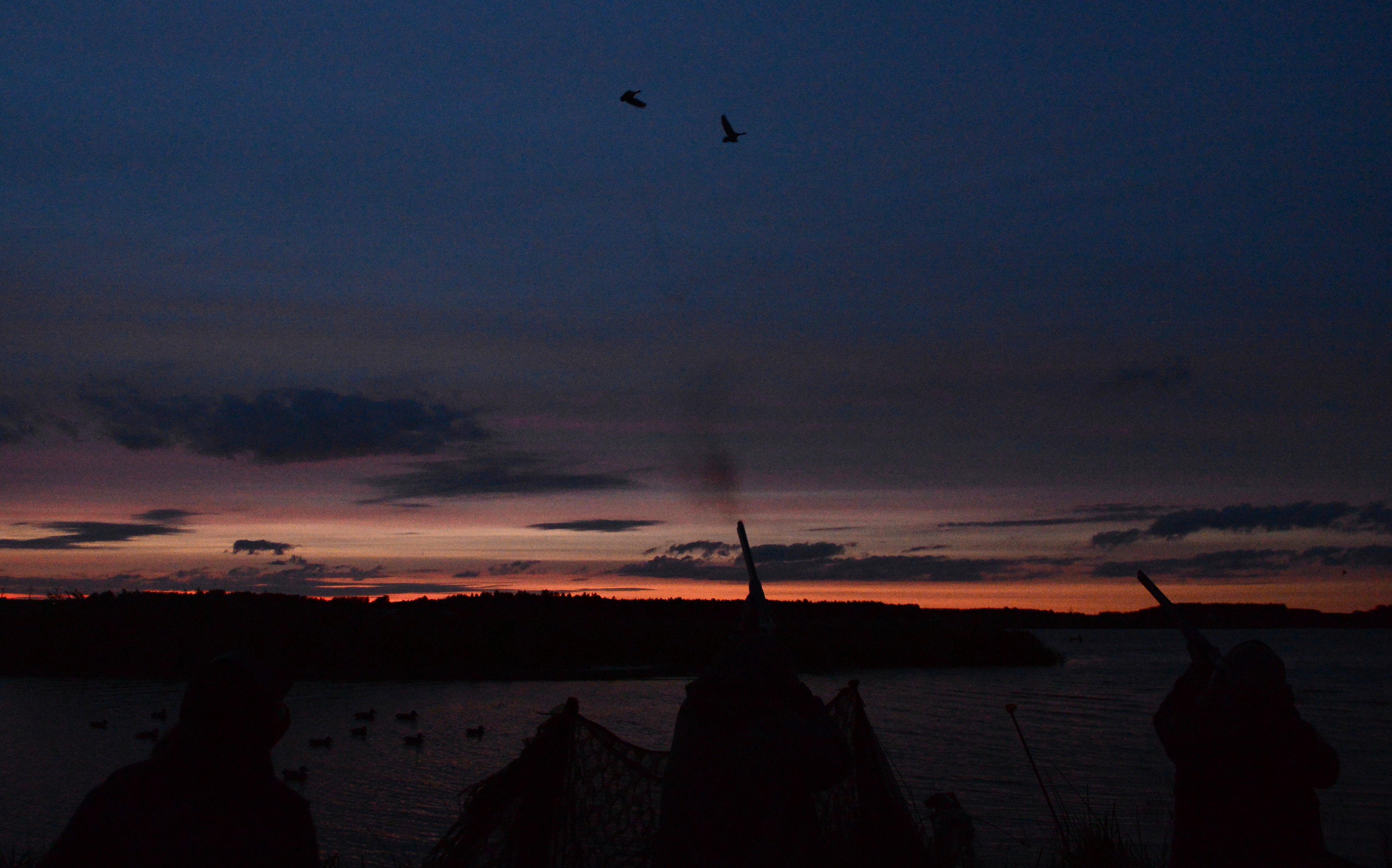 Jagt med blyholdig ammunition bør helt forbydes overalt i EU mener DOF BirdLife foto Jan Skriver