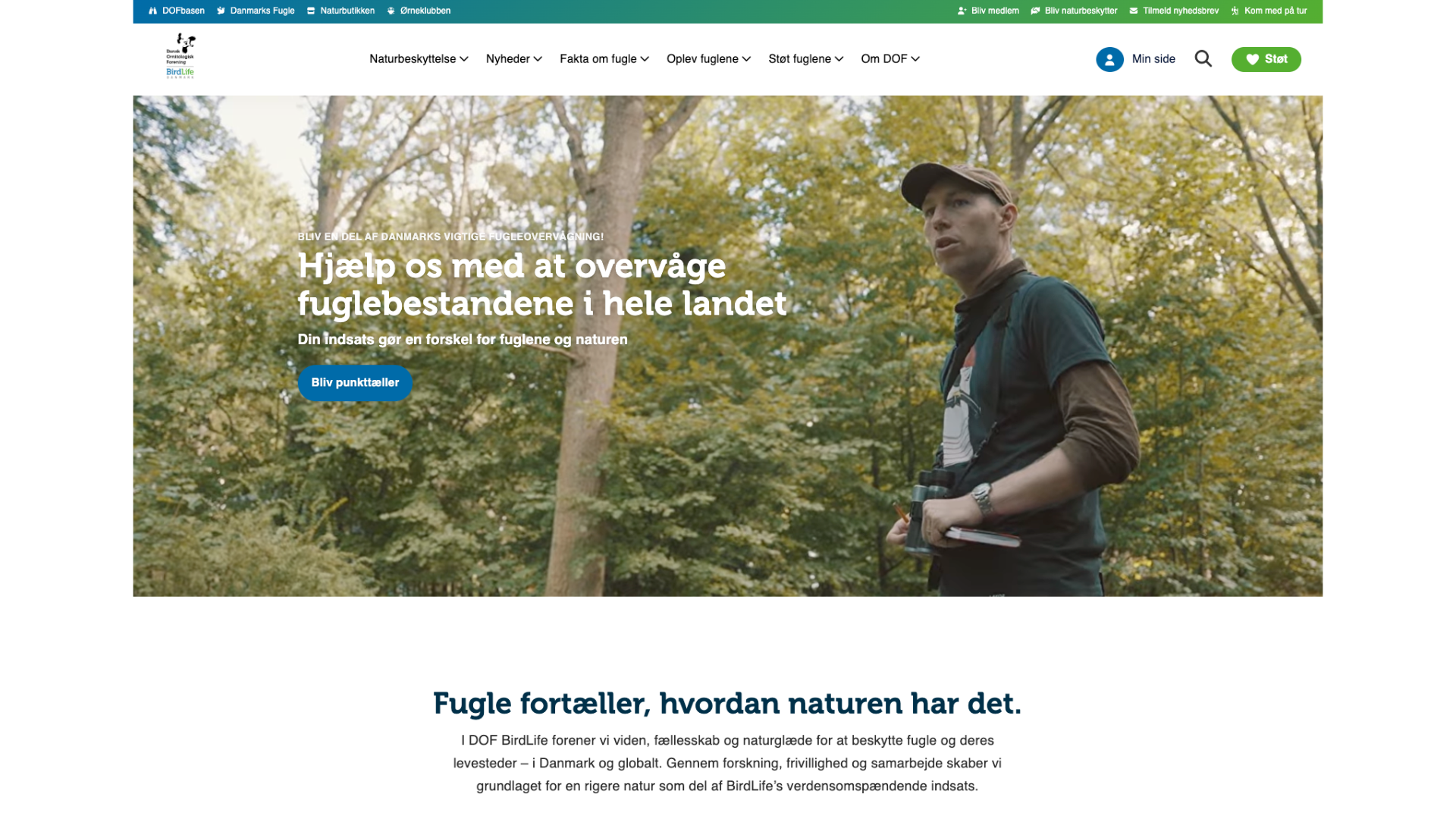 Billeder til dof.dk 4