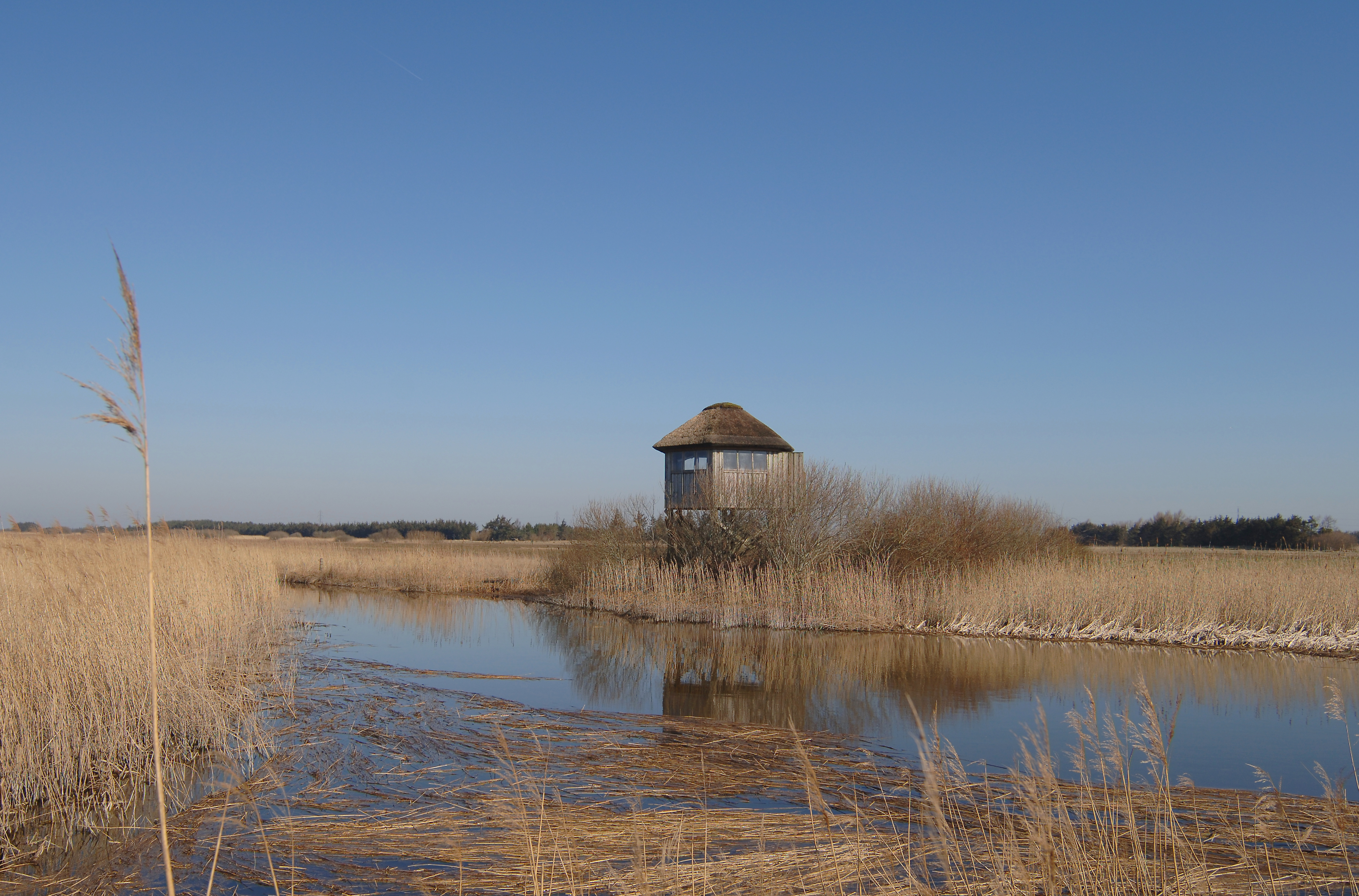 Kraptaarnet Vejlerne foto Jan Skriver