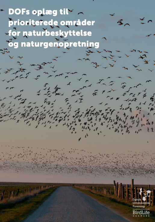 Skærmbillede 2026 02 17 kl. 12.43.39