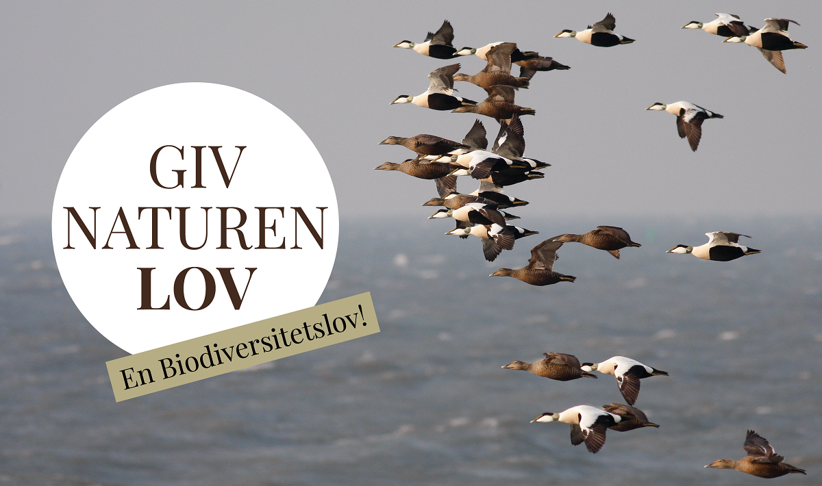 giv naturen lov