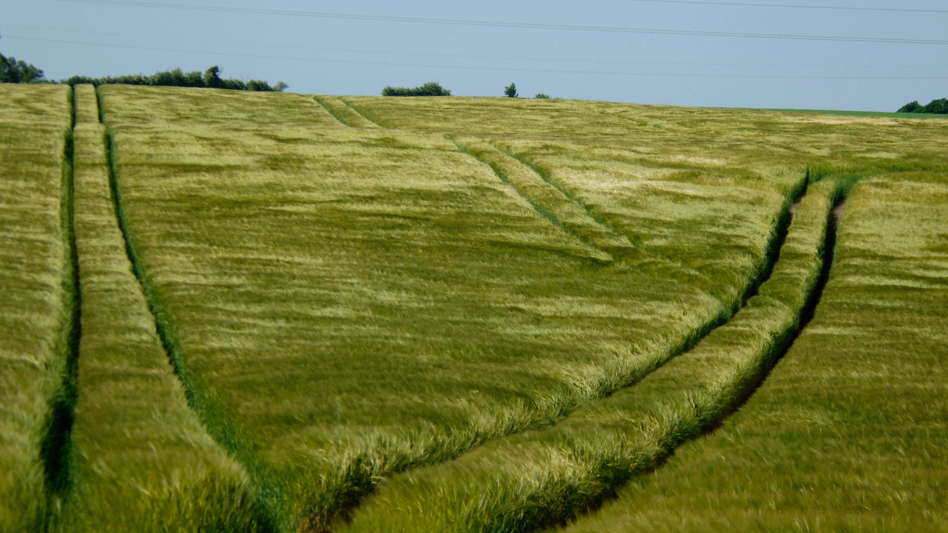 til nyhedsartikler 17