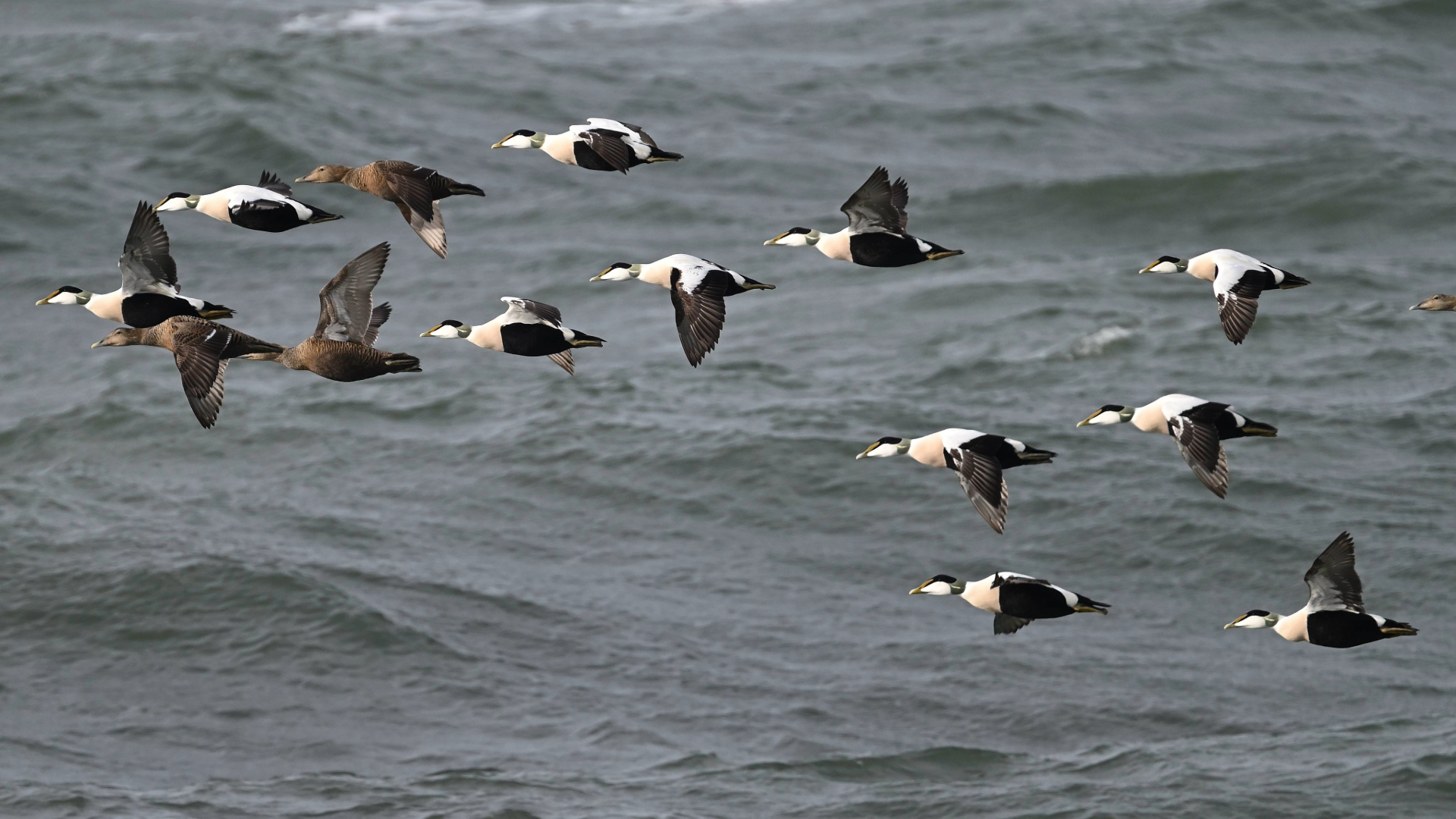 til nyhedsartikler 18