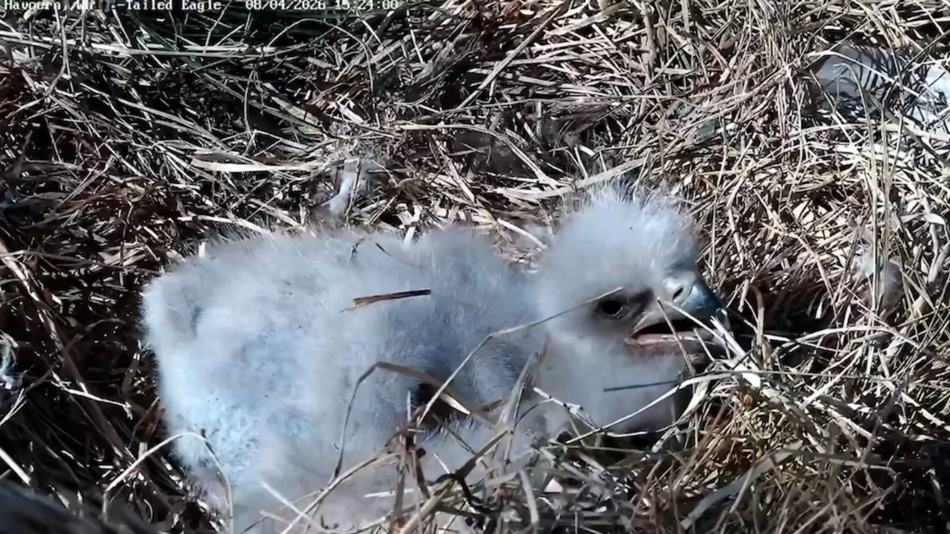 til nyhedsartikler 22