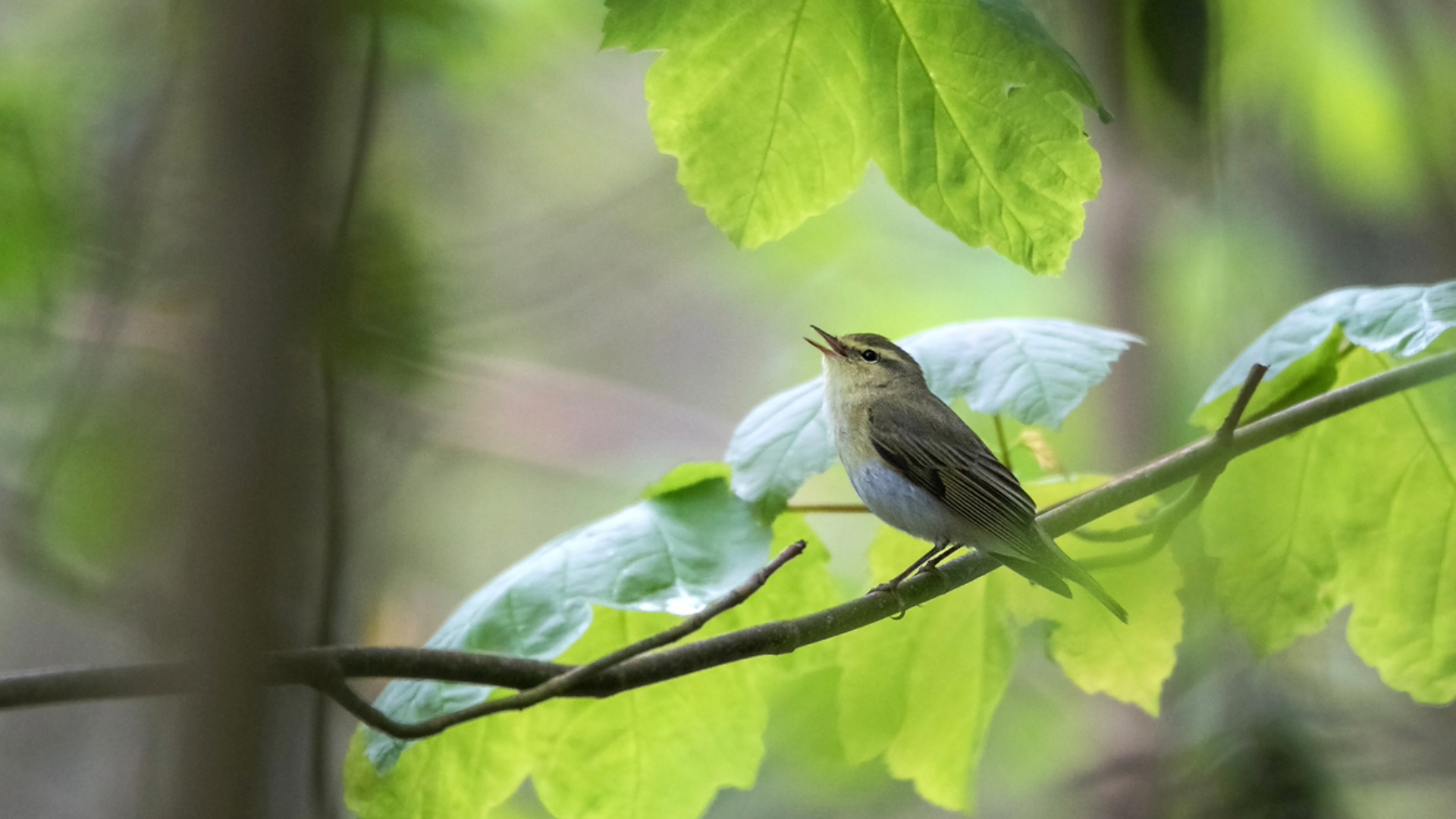 til nyhedsartikler 24