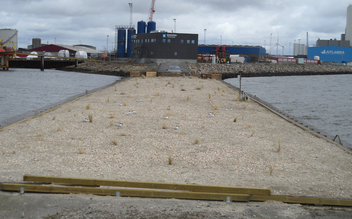 HavnesbjergTernernes kaj og mole på Esbjerg Havn foto Thomas Bregnballe WEB