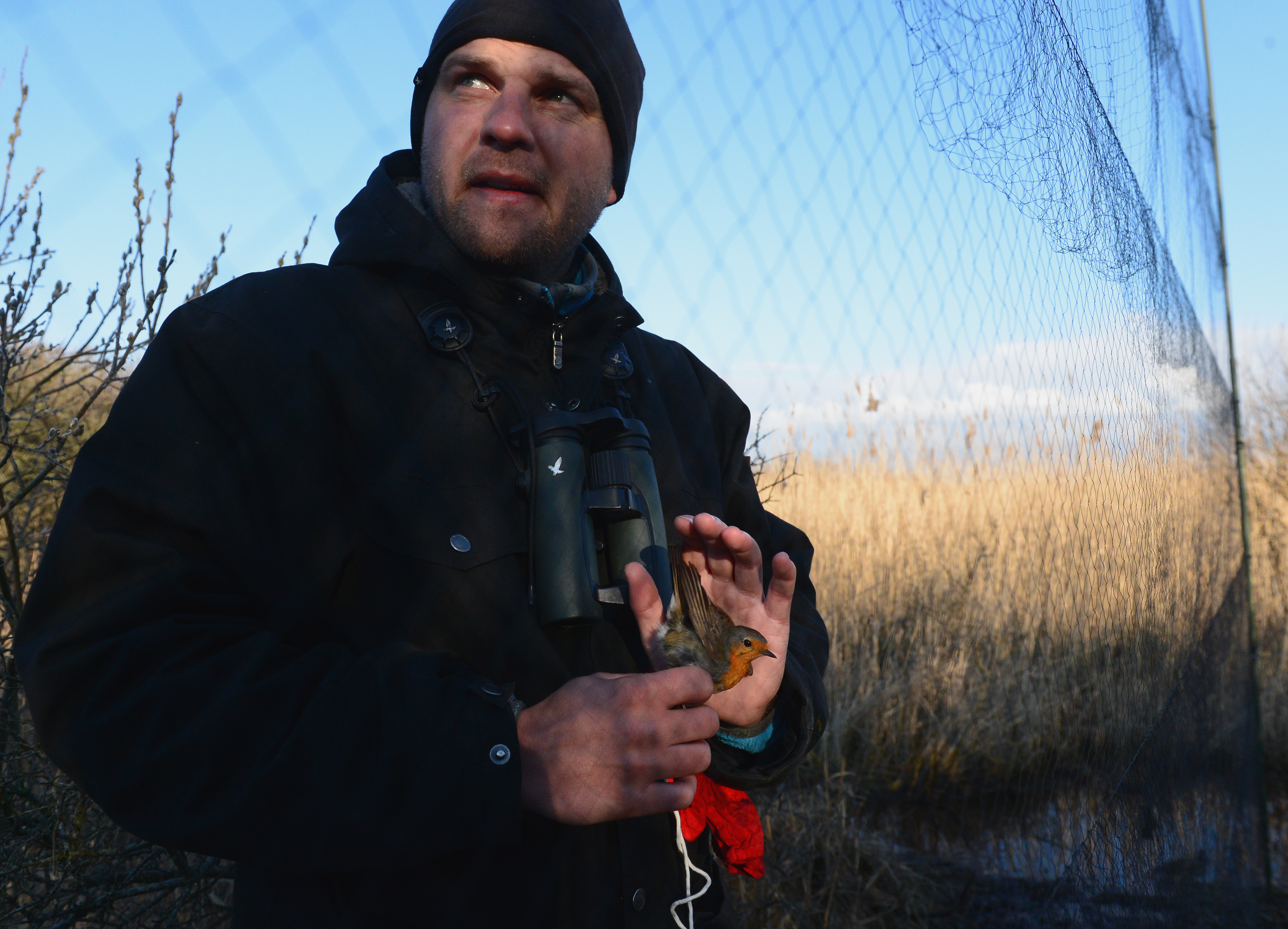  Simon Christiansen piller rodhals ud af fangstnet foto Jan Skriver