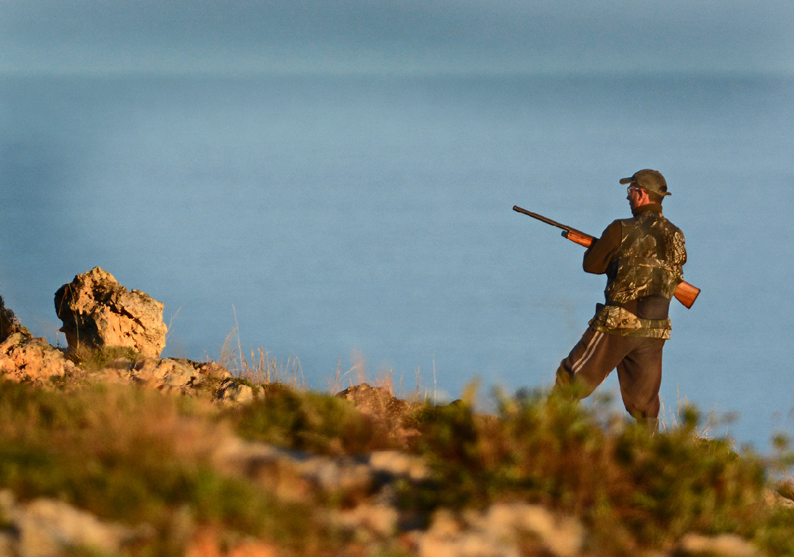 maltaHunter on the coast DSC02956 David Tipling Nature Picture Library