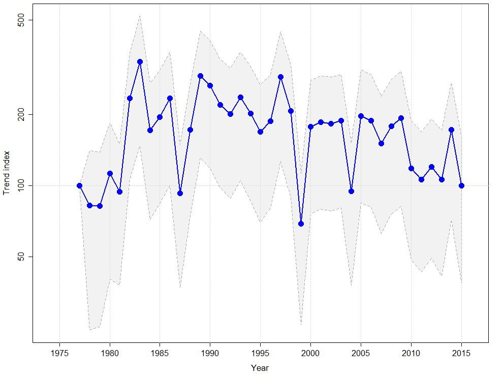 tyrkerdue Fig3bTrend Tyrkerdue Jylland vinter V 003