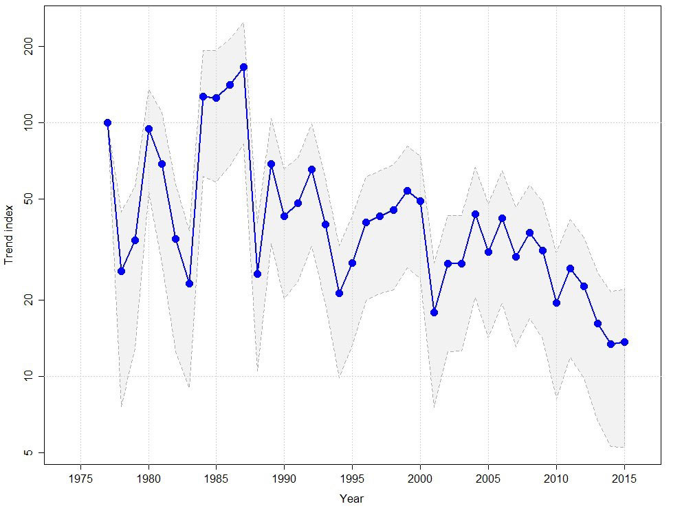 tyrkerdue Fig3dTrend Tyrkerdue oerne vinter 004