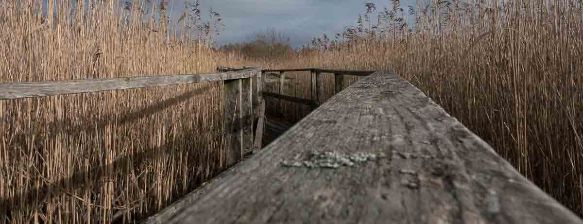 Gundsomagleso BoardWalk ves