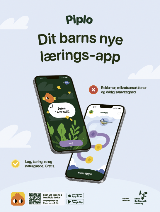 Skærmbillede 2026 03 04 kl. 14.31.43