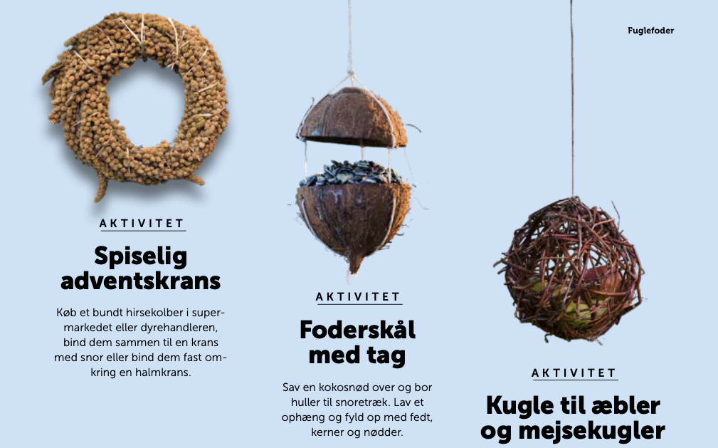Få flere vinterfugle i haven