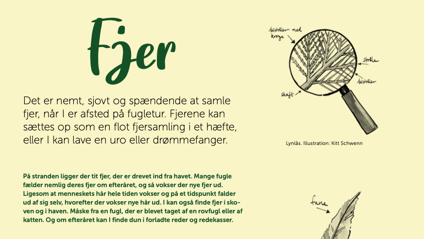 Fjer
