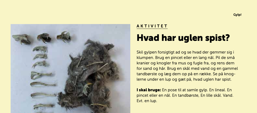 På jagt efter uglegylp