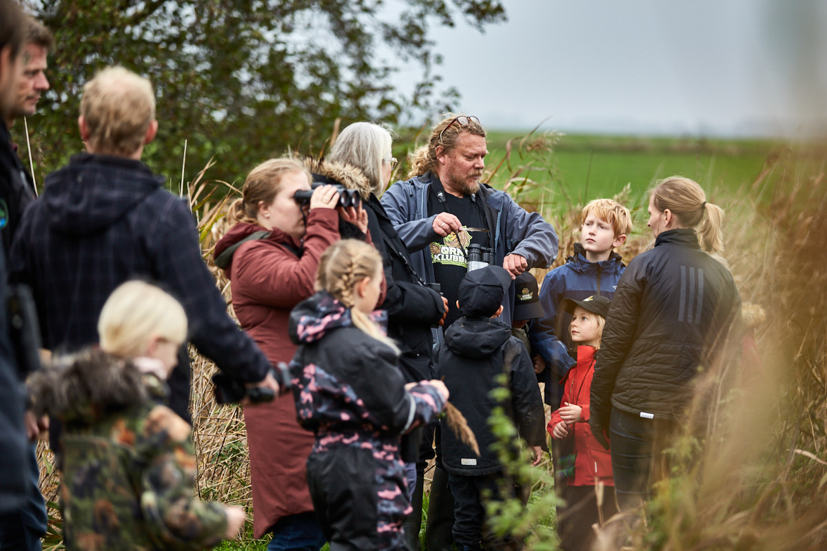 Børn på fugletur i naturen med DOF BirdLife