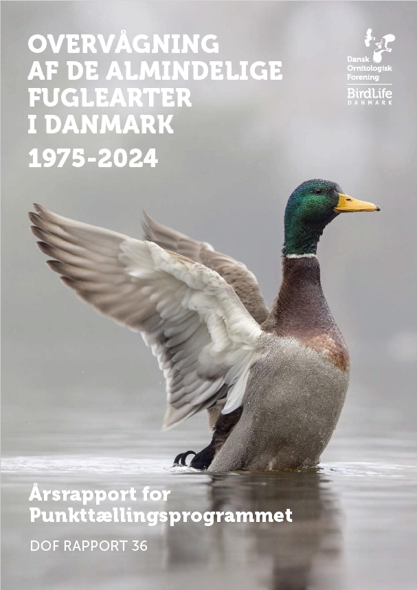 Punkttaelling arsrapport 2019 vol.27