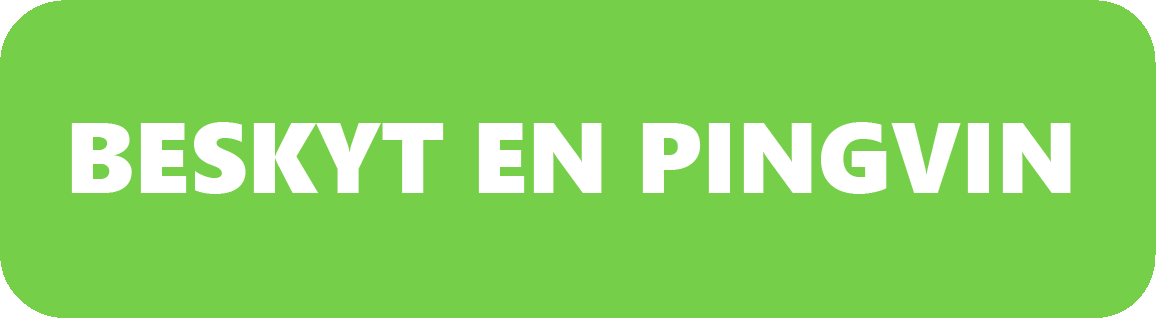PingvinKnap